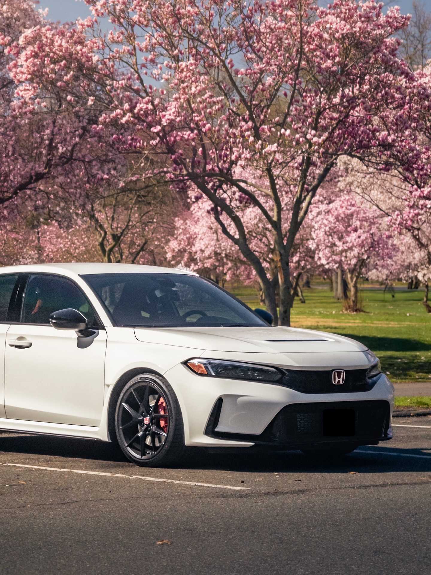 Honda Civic Type R in spring conditions